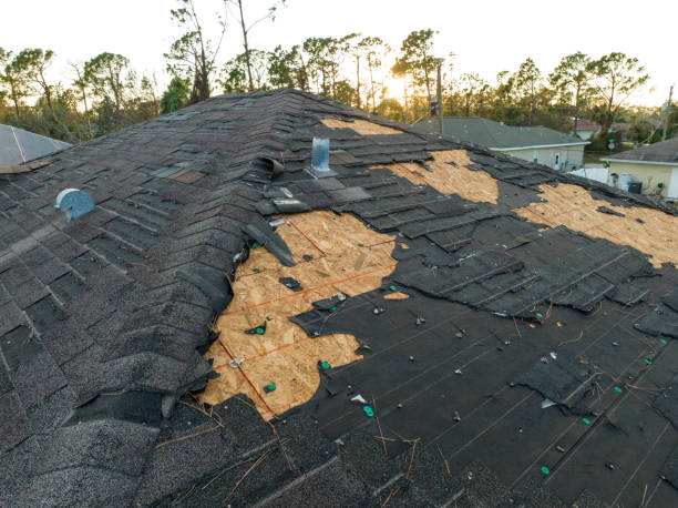 Best Commercial Roofing Services  in Rustburg, VA